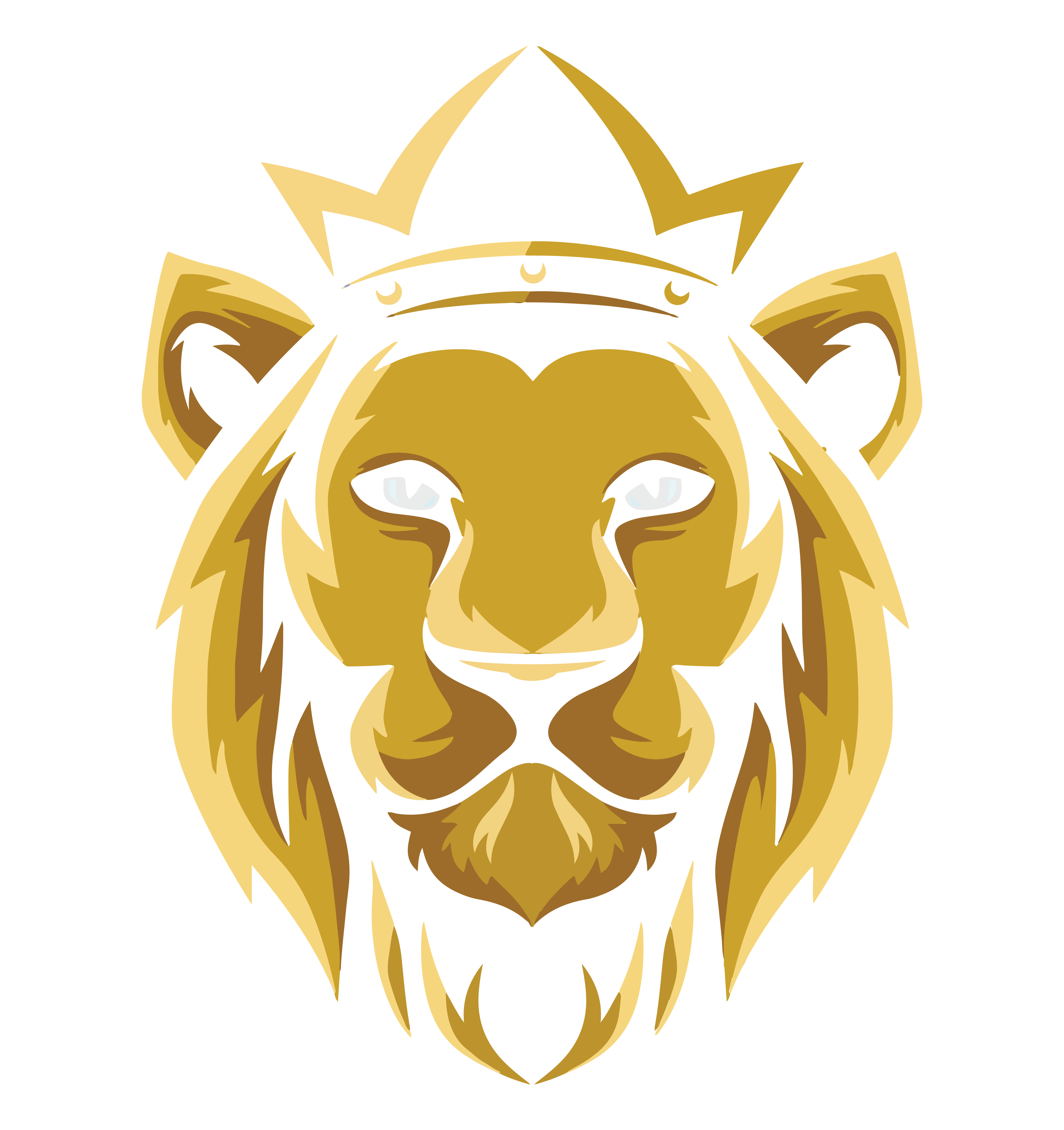 Simba’s Maintenance